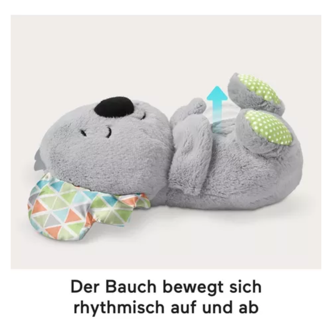 Miniatura 3 de Koala Que Respira Calma